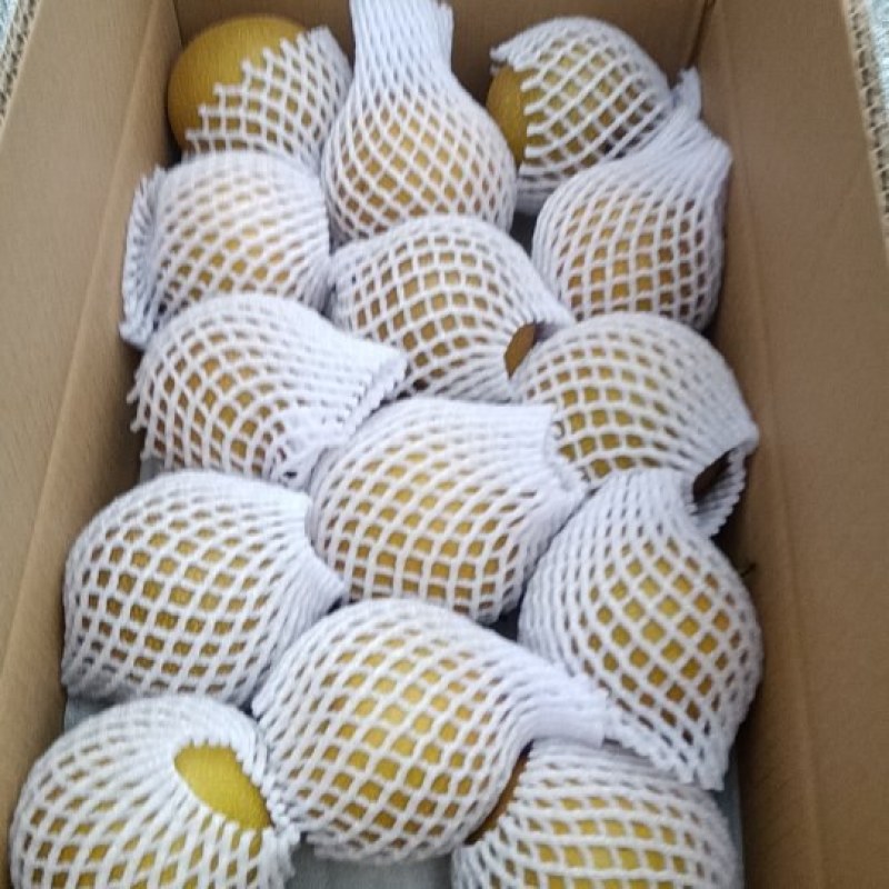 金秋梨