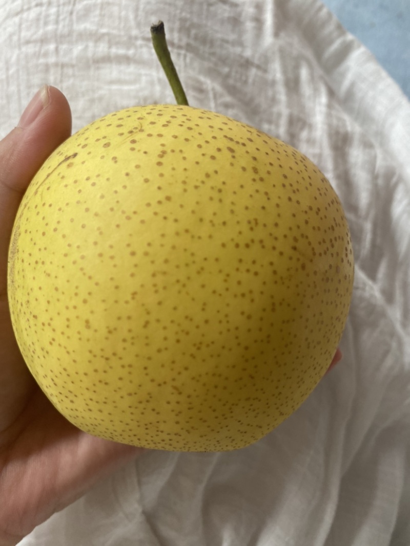精品皇冠梨