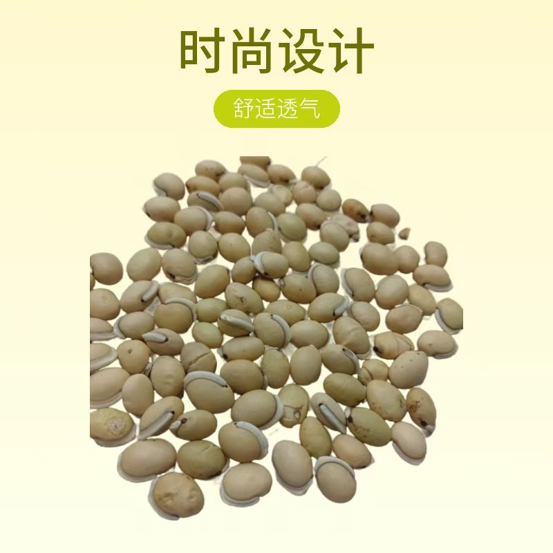 白扁豆大量上市质量保证欢迎下单量大咨询更加优惠