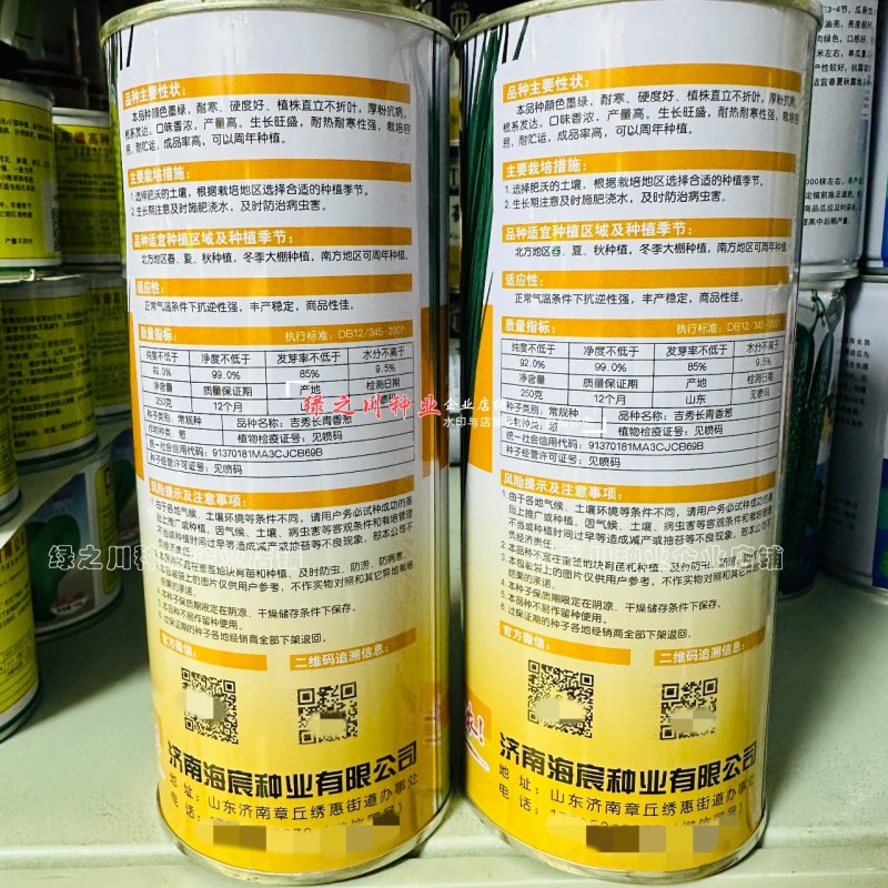 葱粲吉秀长青香葱种子产量高耐热耐寒四季小香葱种子山东小葱