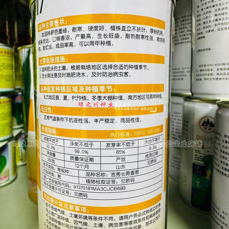 葱粲吉秀长青香葱种子产量高耐热耐寒四季小香葱种子山东小葱