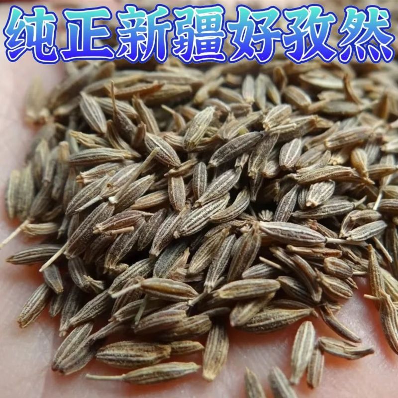 孜然精品特级正宗新疆孜然粒孜然颗粒够本就卖孜然商用
