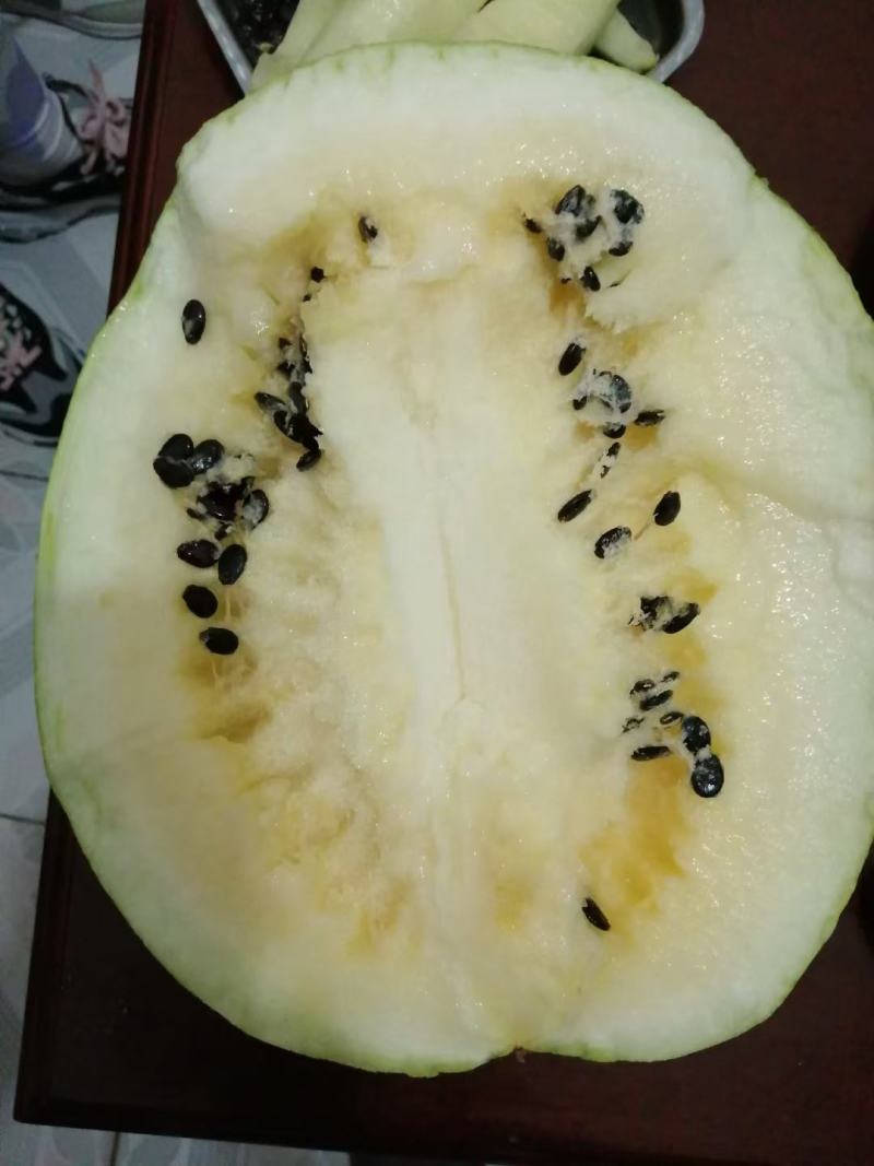 靖远高湾大变小，打瓜