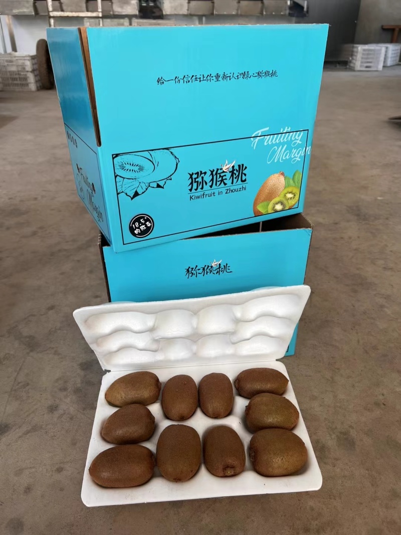 陕西翠香猕猴桃
