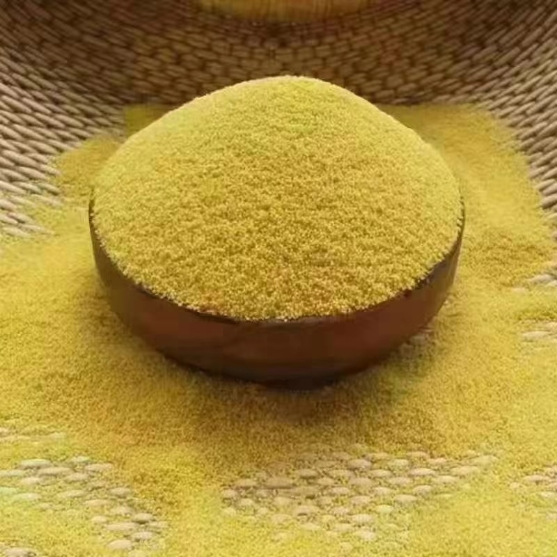 山东金乡春谷小米上市中，色泽金光，口感纯正粘稠！要的联系