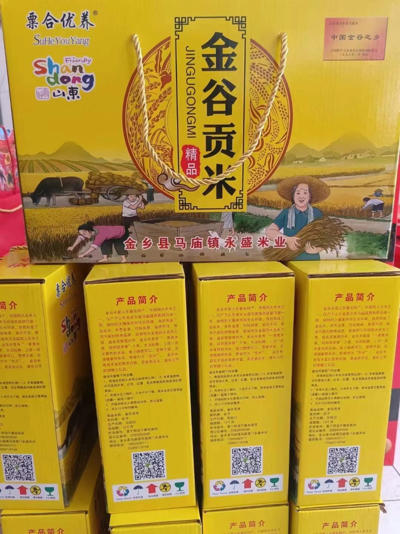 山东金乡春谷小米上市中，色泽金光，口感纯正粘稠！要的联系