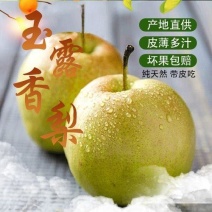 山西运城玉露香梨，含糖量高，纯甜无渣，黄土高坡种植。