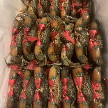 漫爪活青蟹缺氧活力差冻蟹鲜活上海现货发出