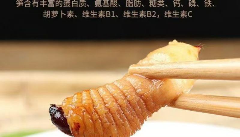 冰冻竹虫，大量现货供应大个头优质冻品