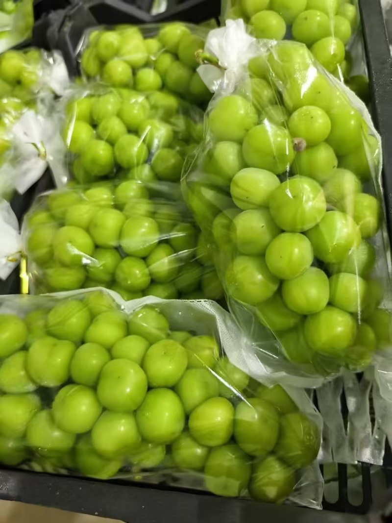 饶阳县大棚种植阳光玫瑰皮毛好、口感甜，质量上乘