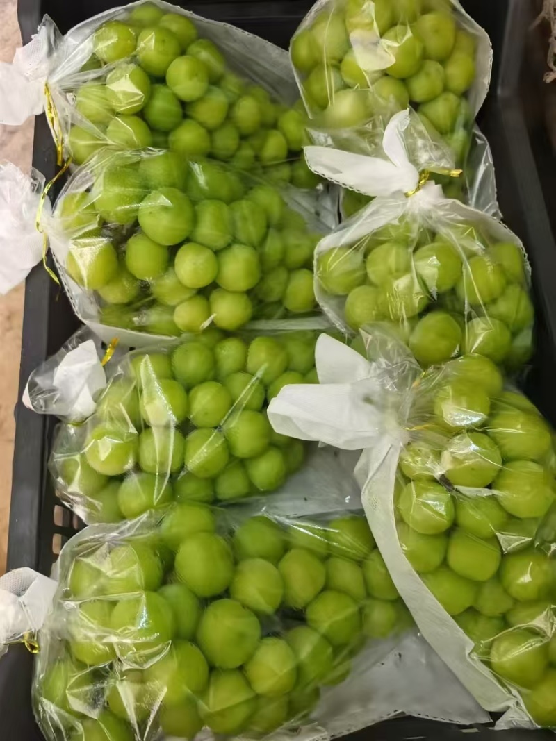 饶阳县大棚种植阳光玫瑰皮毛好、口感甜，质量上乘