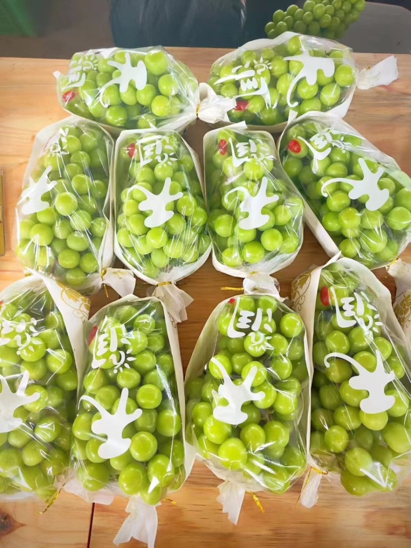 阳光玫瑰葡萄精品优质晴王葡萄超市电商平台**