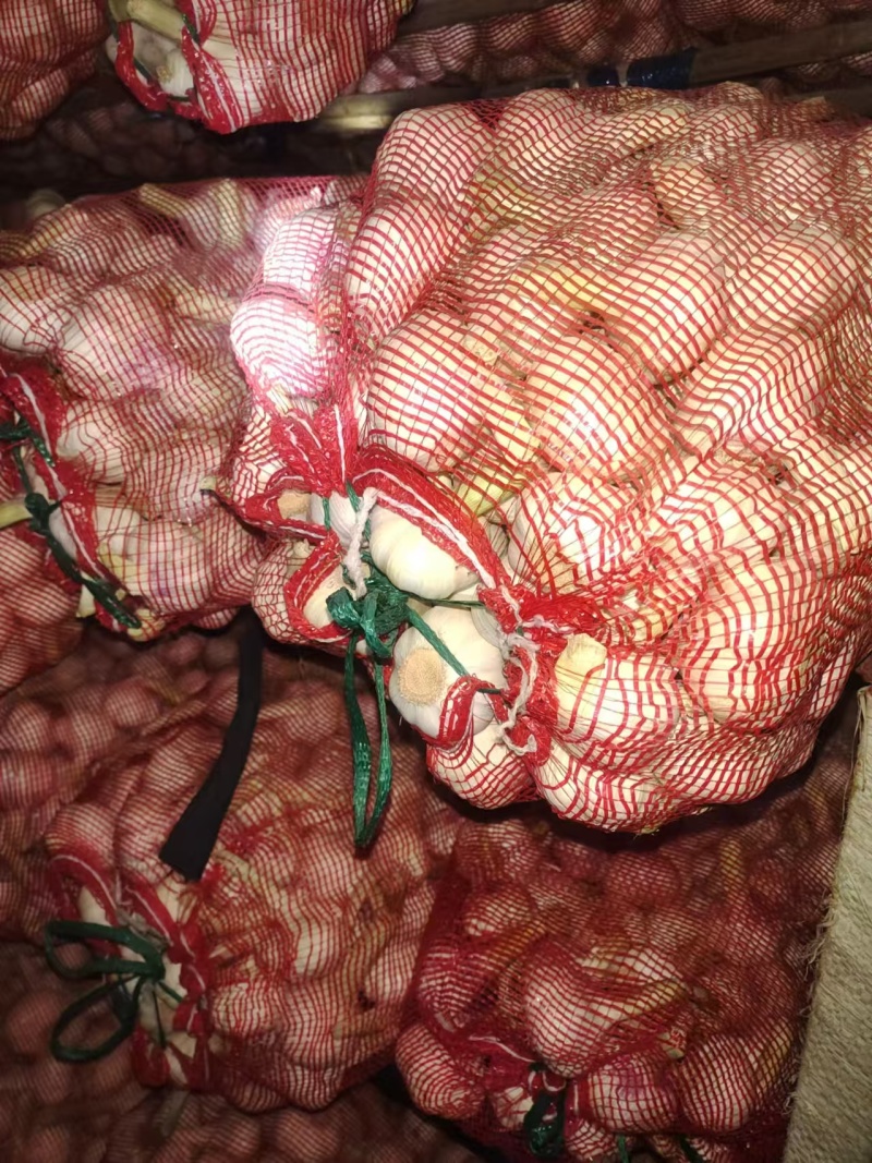 冷库扒皮鲜蒜大量上市产地直发一手货源保质保量