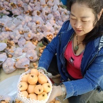 云南蒙自枇杷，大山里的枇杷又大又甜，代收的老板请联系