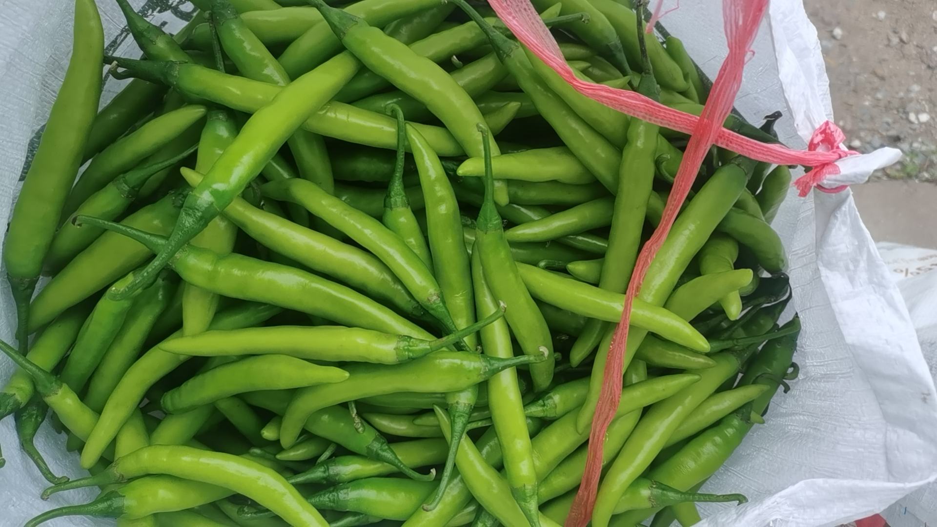 农贸市场摊位上摆放整齐的新鲜杭椒