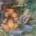 胎里红柿子，