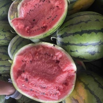 东北大地雷西瓜🍉头茬、红瓤、黑籽、口感甜、代发全国