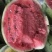 东北大地雷西瓜🍉头茬、红瓤、黑籽、口感甜、代发全国