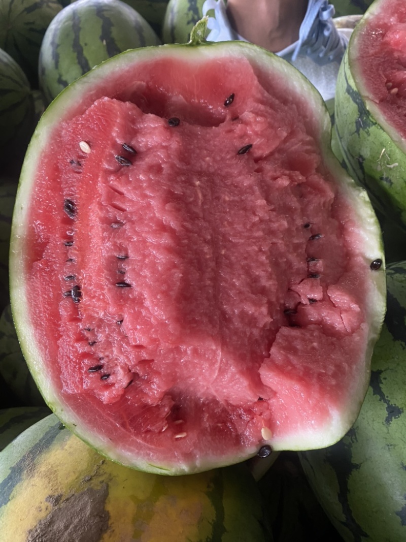 东北大地雷西瓜🍉头茬、红瓤、黑籽、口感甜、代发全国