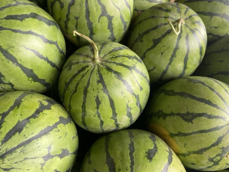 东北大地雷西瓜🍉头茬、红瓤、黑籽、口感甜、代发全国