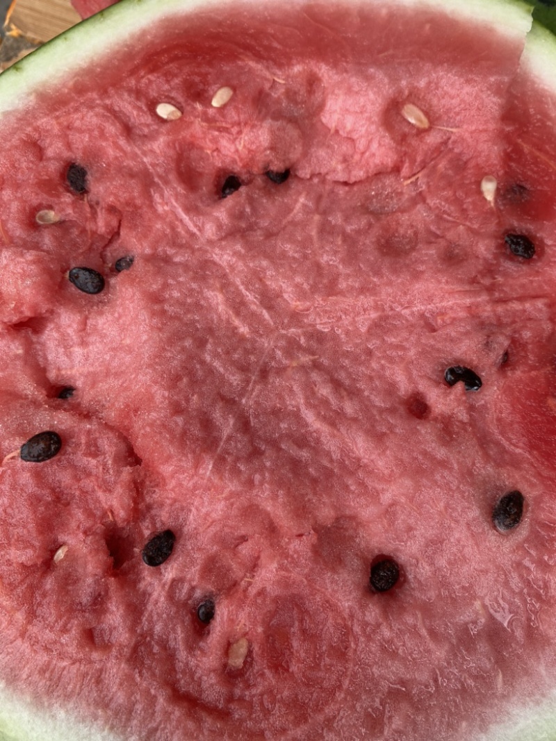 东北大地雷西瓜🍉头茬、红瓤、黑籽、口感甜、代发全国