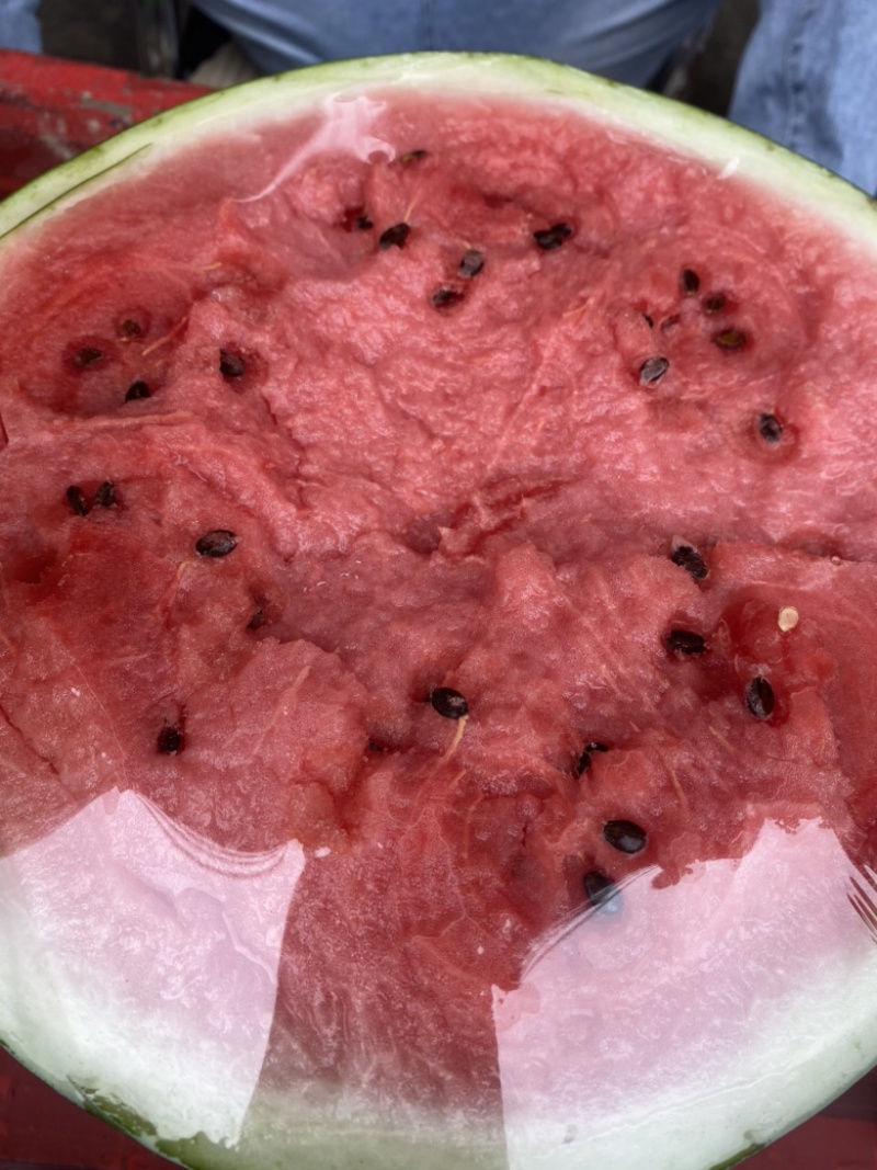 东北大地雷西瓜🍉头茬、红瓤、黑籽、口感甜、代发全国
