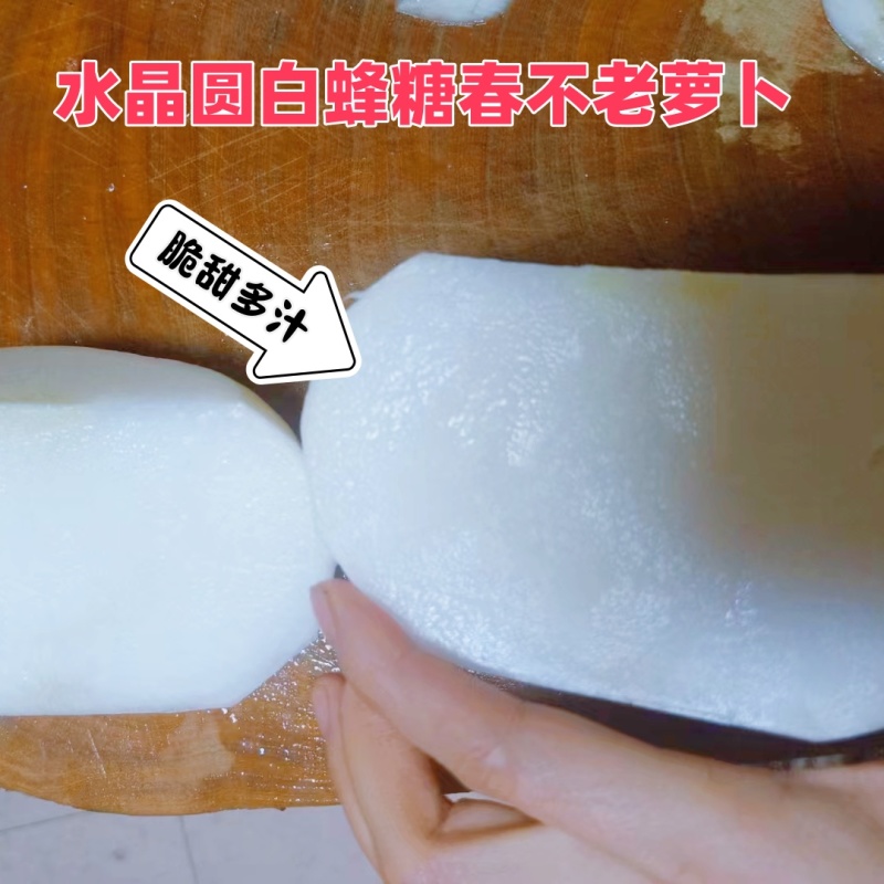 正宗圆白白萝卜种子圆根萝卜种子水晶萝卜种子冰糖萝卜种子