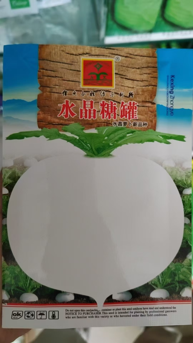 正宗圆白白萝卜种子圆根萝卜种子水晶萝卜种子冰糖萝卜种子