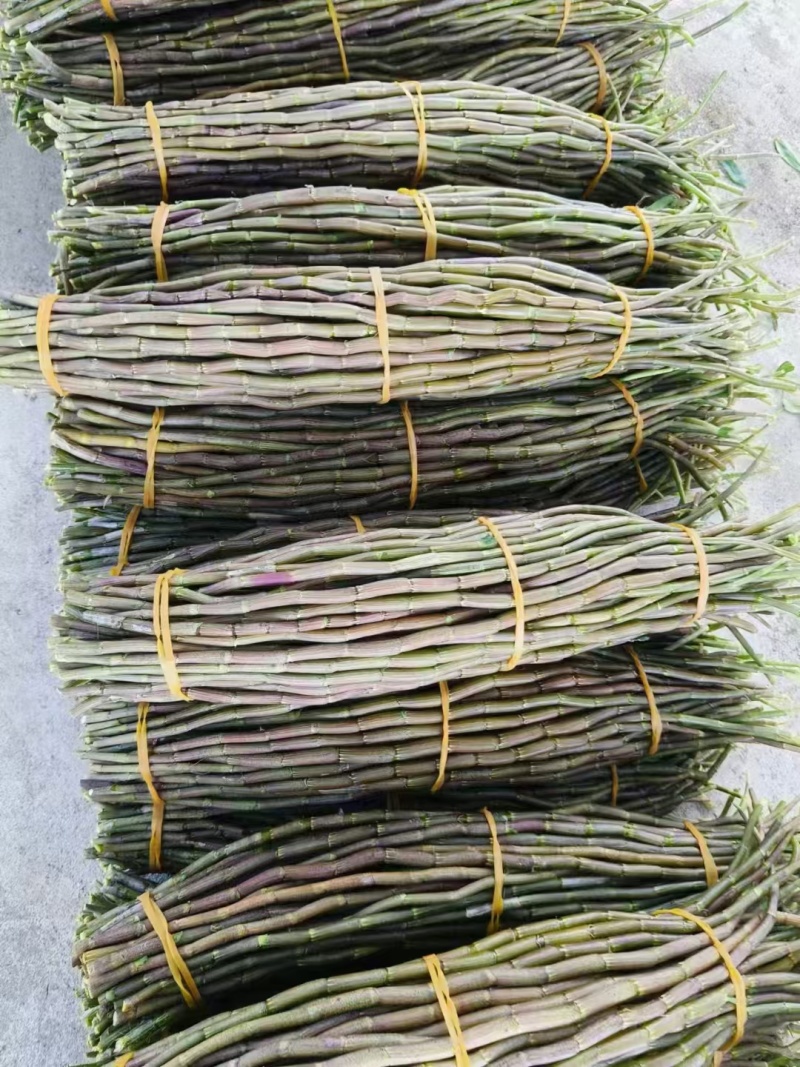 铁皮石斛，小胖条，基地直发，一手货源，质量保证，全国发货