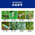 海纳无刺20%呋虫胺稻飞虱蚜虫杀虫剂