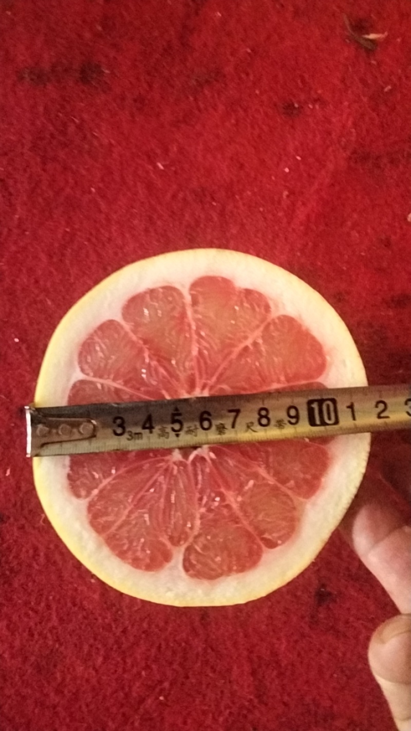 平和三红柚皮薄肉红水份足