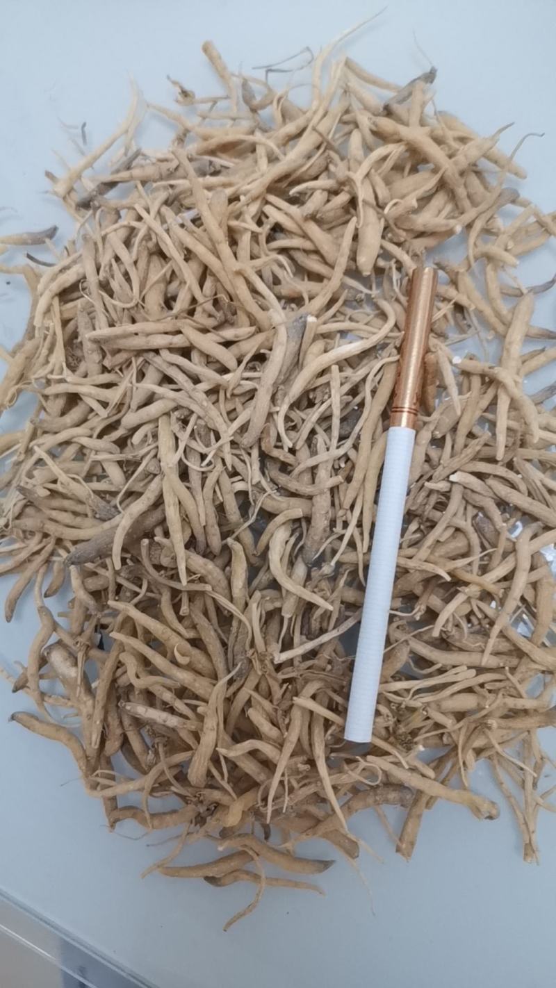 太子参