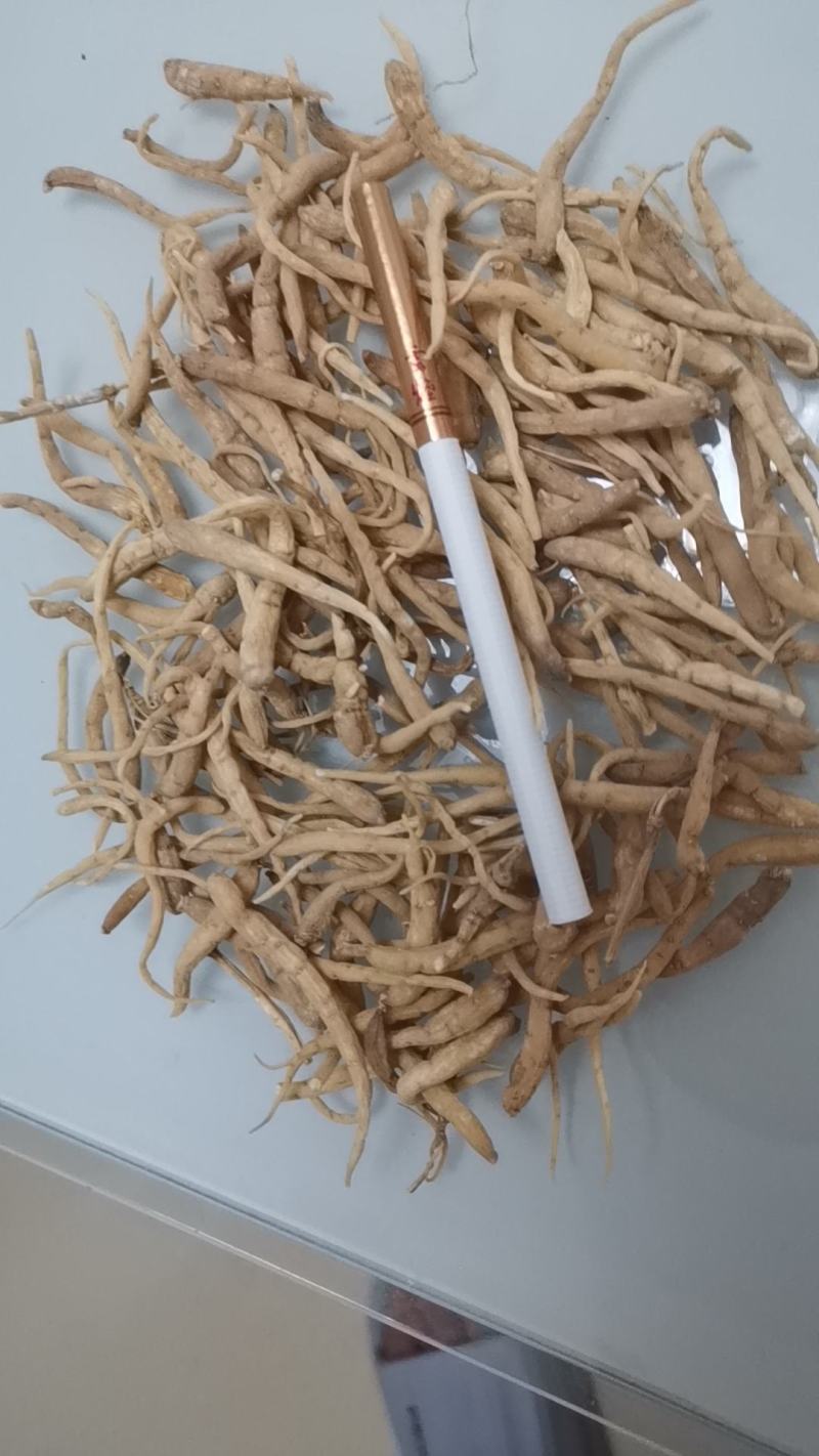 太子参