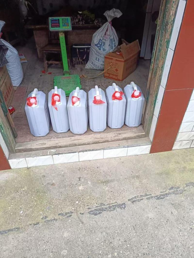 野生茶油