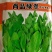 优质豌豆种子（采尖）越采越粗豌豆尖种子豌豆芽种子