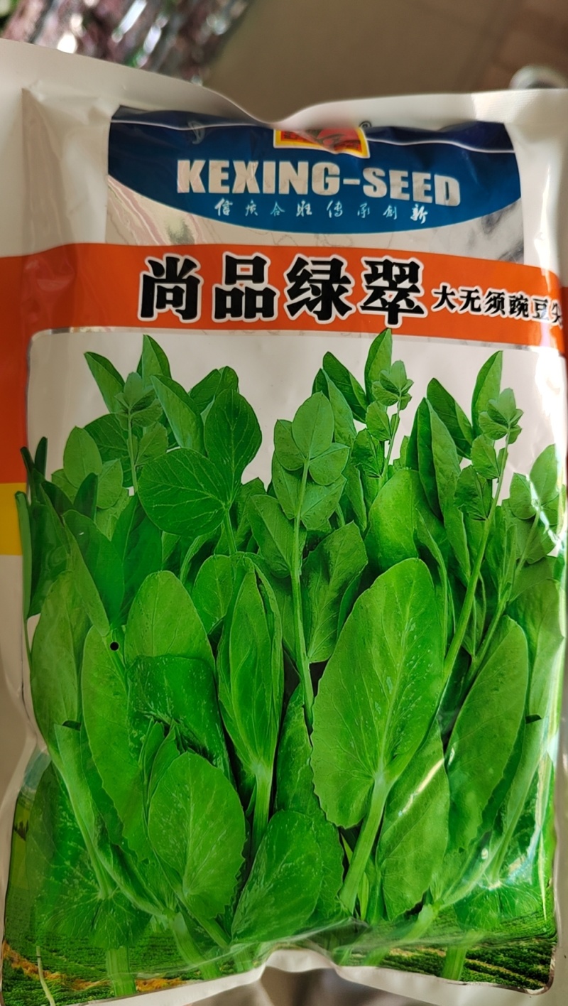 优质豌豆种子（采尖）越采越粗豌豆尖种子豌豆芽种子