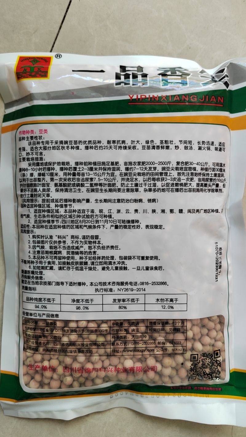优质豌豆种子（采尖）越采越粗豌豆尖种子豌豆芽种子