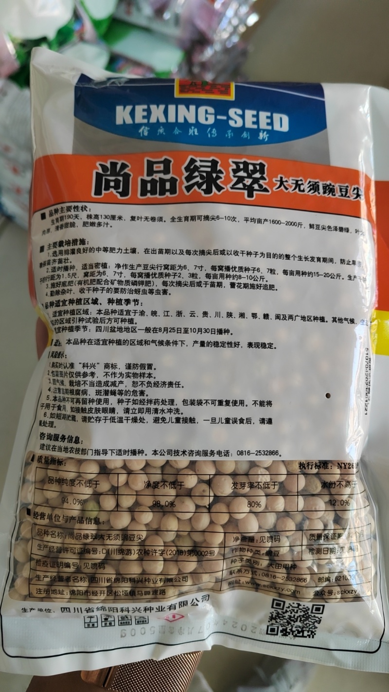 优质豌豆种子（采尖）越采越粗豌豆尖种子豌豆芽种子