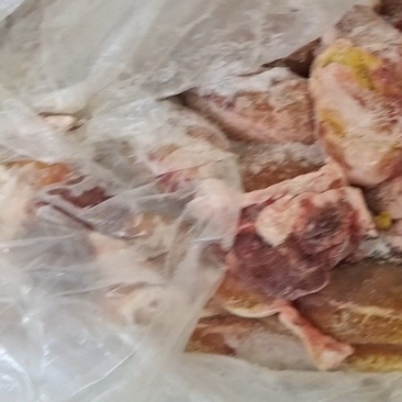 猪苦胆，