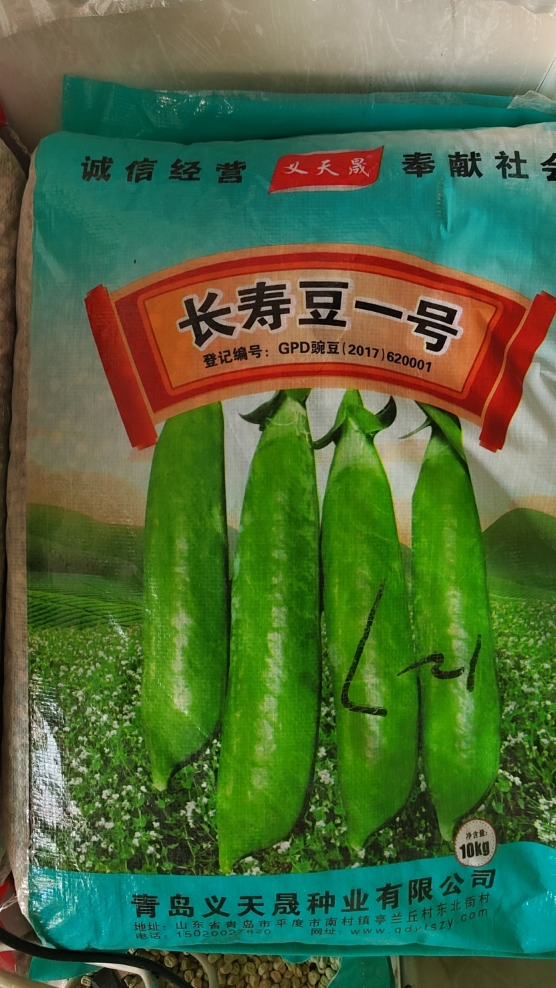 长寿仁豌豆种子（食鲜荚）甜脆豌种子高架豌豆种子长寿人豌豆