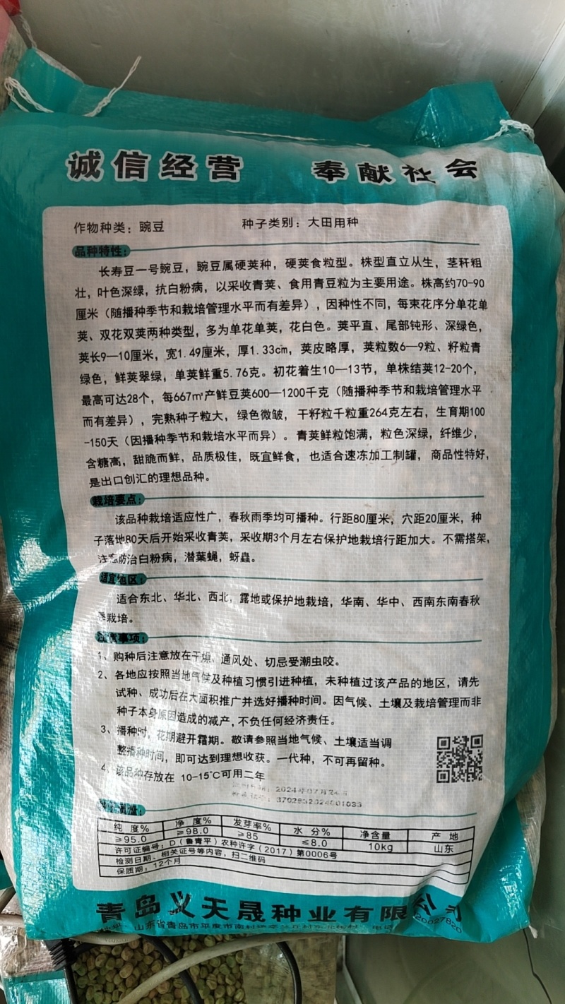 长寿仁豌豆种子（食鲜荚）甜脆豌种子高架豌豆种子长寿人豌豆