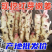 《鲜姜》山东红芽姜/现挖现发/供应市场电商/欢迎来电