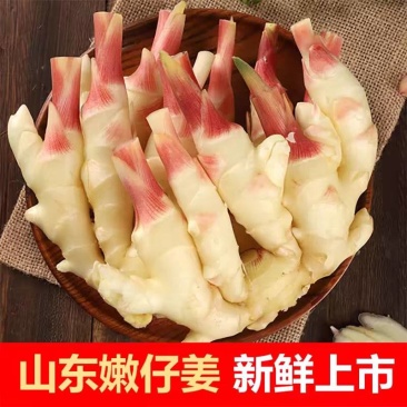 《嫩姜》山东红芽嫩姜/新姜生姜/供应市场电商/欢迎来电