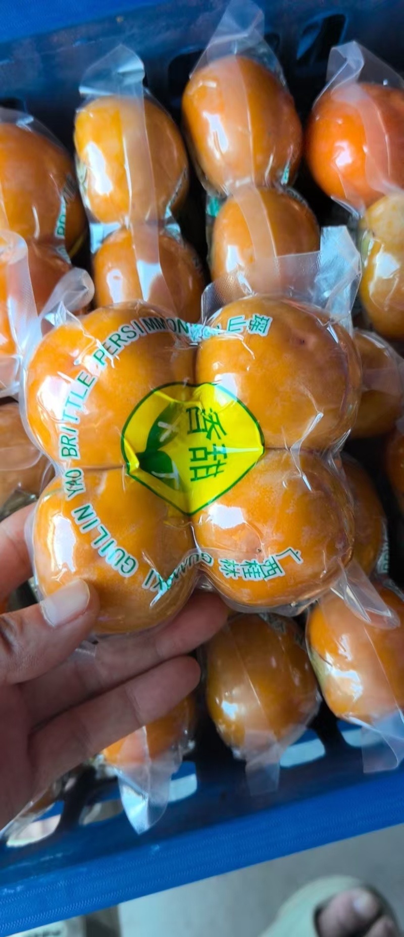平乐脆柿