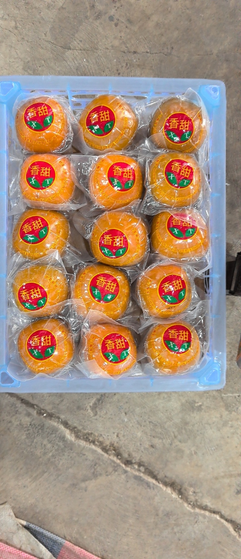 平乐脆柿
