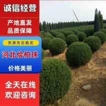 塔快球