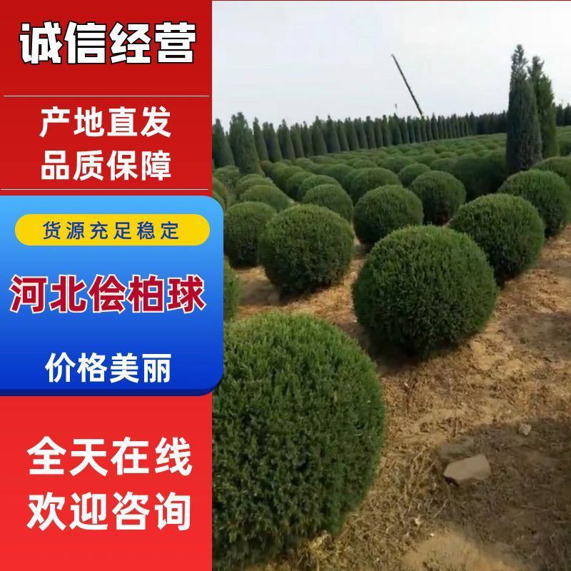 塔快球