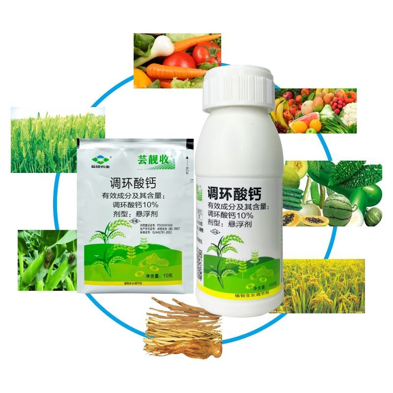 10调环酸钙控红薯花生水稻花卉蔬菜草莓葡萄控旺梢矮化