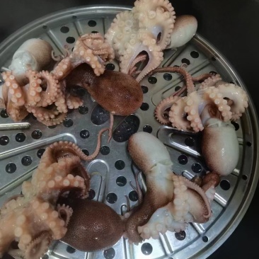 原浆八爪鱼