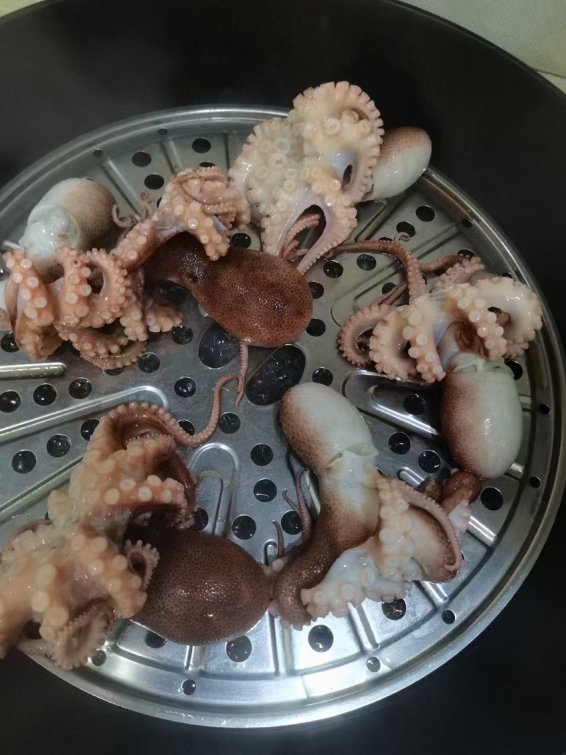 原浆八爪鱼